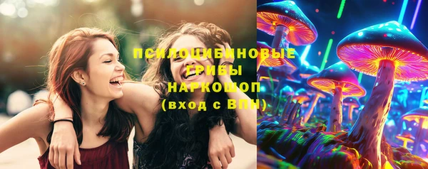 гидропоника Горно-Алтайск
